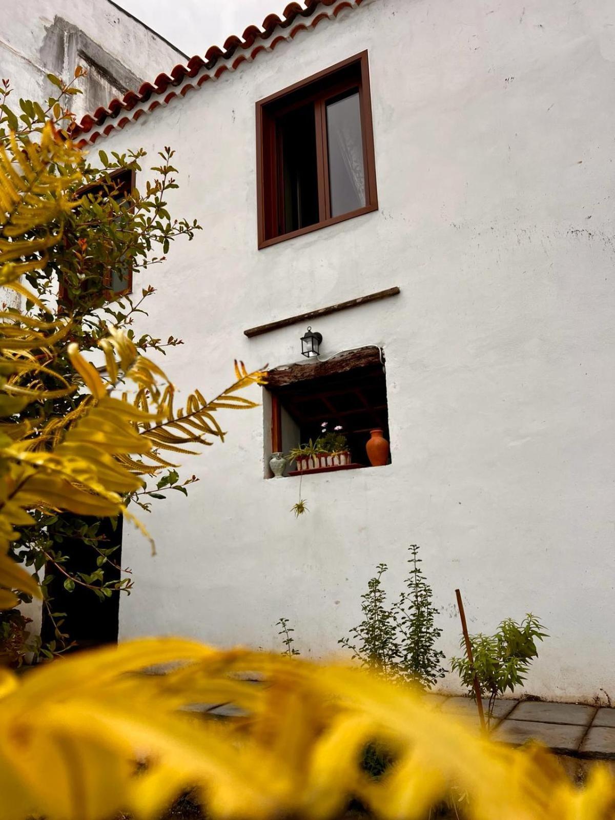 La Bodega. * Tacoronte