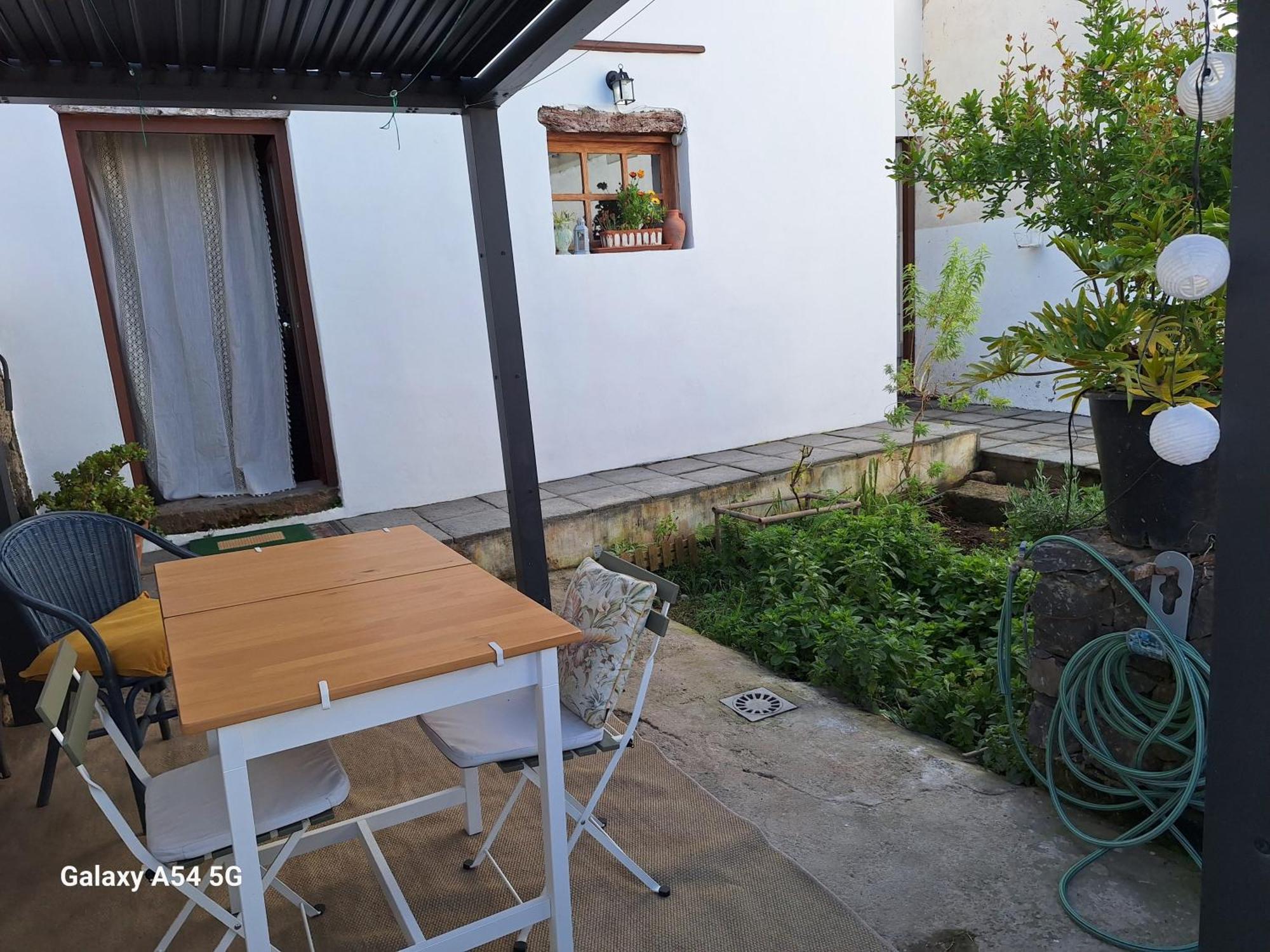 La Bodega. Tacoronte
